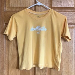 Hollister Crop Top‎